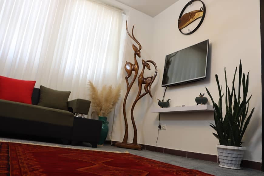 دکوراسیون تلویزیون