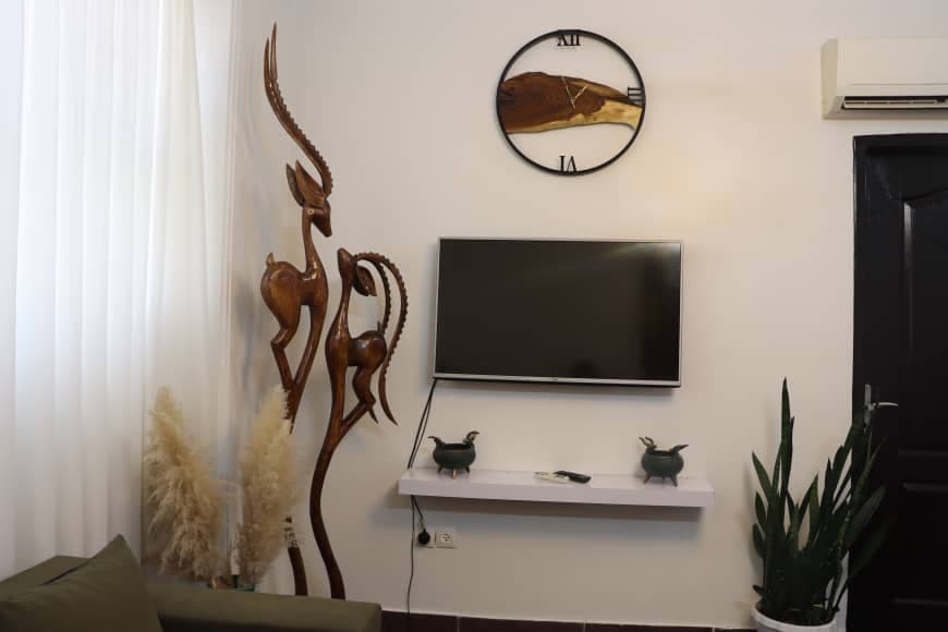 دیوار تلویزیون